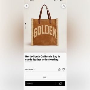 Authentic Golden Goose bag with dust cover and tags.